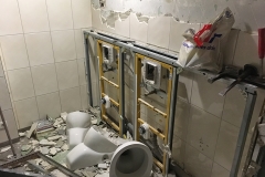 Toiletten Renovierung